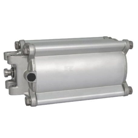 Vérin pneumatique RIV RIV164100