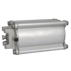 Vérin pneumatique RIV RIV164200