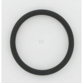 Joint CNH SBA145996681