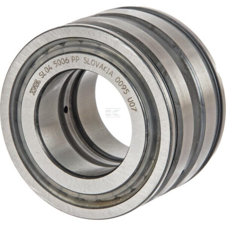 Roulement cylindriques INA/FAG SL045006PP