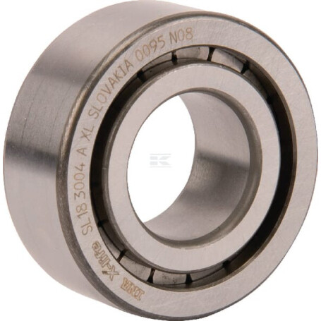 Roulement cylindriques INA/FAG SL183004AXL