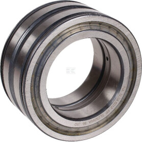 Roulement cylindriques INA/FAG SL045016PP2NR