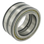 Roulement cylindriques INA/FAG SL045016PP