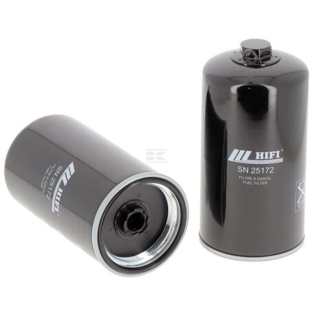 Filtre HIFI FILTER SN25172