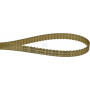 Courroie OPTIBELT T564010