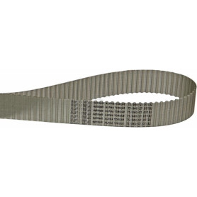 Courroie OPTIBELT T584025