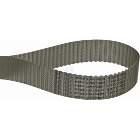 Courroie OPTIBELT T542025