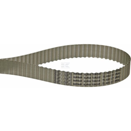Courroie OPTIBELT T548016