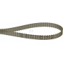 Courroie OPTIBELT T555010
