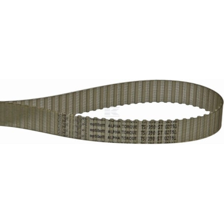 Courroie OPTIBELT T539016
