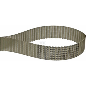 Courroie OPTIBELT T550025