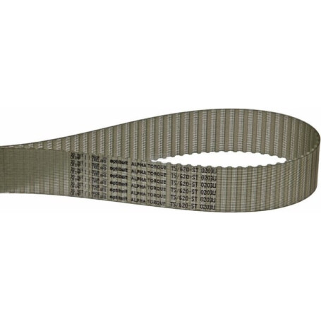 Courroie OPTIBELT T562025