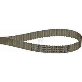 Courroie OPTIBELT T569016