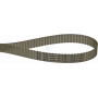 Courroie OPTIBELT T569016