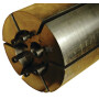 Rotor BATTIONI PAGANI STAR208