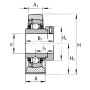 Palier complet SKF SY114FM