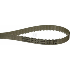 Courroie OPTIBELT T10146016