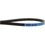 Courroie KUBOTA T205579320