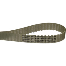 Courroie OPTIBELT T1069025