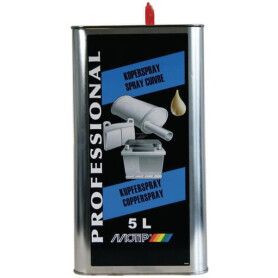 Spray cuivre MOTIP V05561
