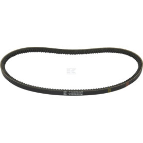 Courroie MASSEY FERGUSON (AGCO) V32889500
