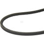 Courroie MASSEY FERGUSON (AGCO) V32889500