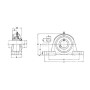 Palier SKF UCPX10SKF