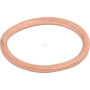 Joint torique MASSEY FERGUSON (AGCO) V615881822