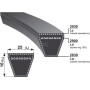 Courroie OPTIBELT VB252839