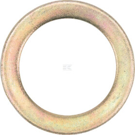 Rondelle DEUTZ-FAHR VF06569968