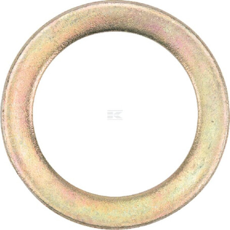 Rondelle DEUTZ-FAHR VF06569968