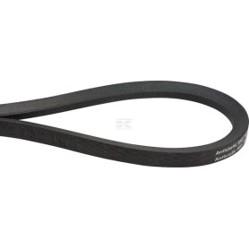 Courroie de traction OPTIBELT VF06228207N