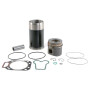Jeu de piston FENDT (AGCO) U226200200000