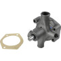 Pompe à eau RAICO U5MW0096N