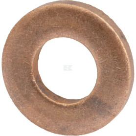 Rondelle AGCO V899901495