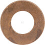 Rondelle AGCO V899901495
