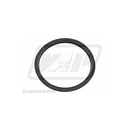 Joint de thermostat VAPORMATIC VPE4393