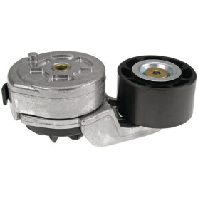 Tendeur de courroie VAPORMATIC VPE6436