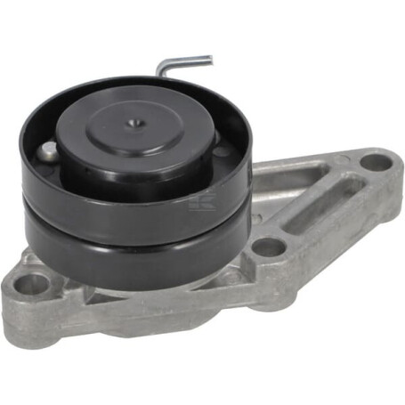 Tendeur de courroie VAPORMATIC VPE6434