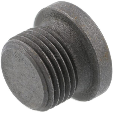 Bouchon AGCO X483801600000
