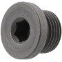 Bouchon AGCO X483801600000