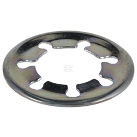 Rondelle AGCO X536716000000