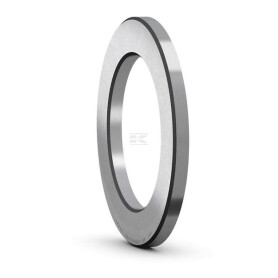 Disque SKF WS81117