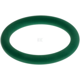 Joint torique FENDT (AGCO) X548859001000