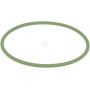Joint torique FENDT (AGCO) X548953115000