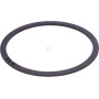 Circlip IDC WRE55