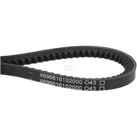 Courroie AGCO X696616102000