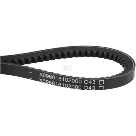 Courroie AGCO X696616102000