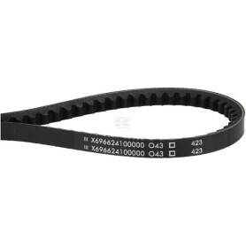 Courroie AGCO X696624100000