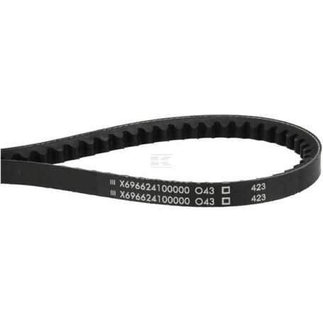 Courroie AGCO X696624100000